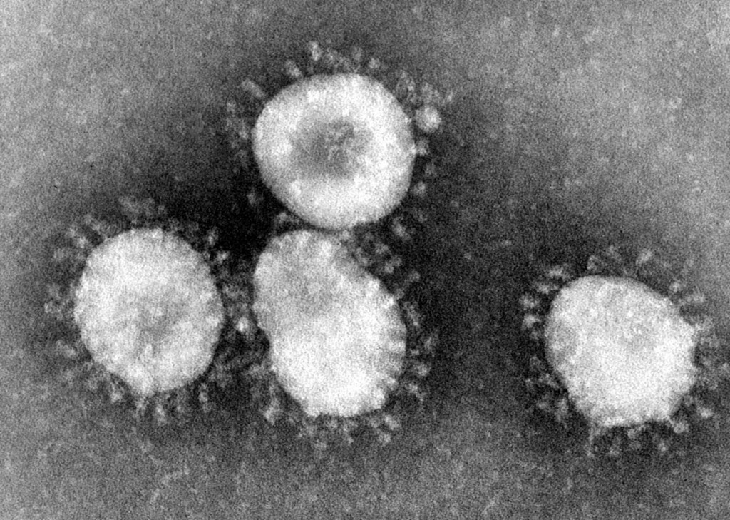 Coronaviruses_004_lores